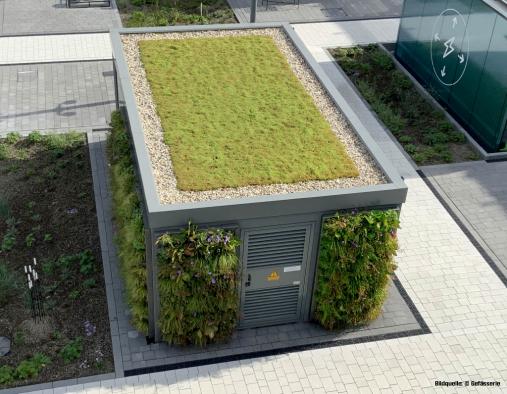 Dach-Wandbegrünung
